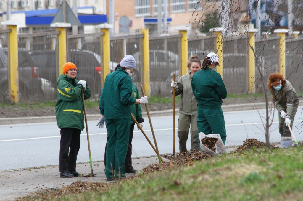 ������� ��������CAMC7490.jpg